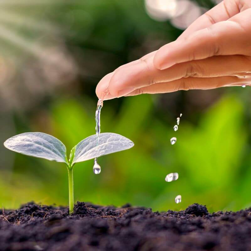 Grow On Monthly Seed Subscription Kit Gift