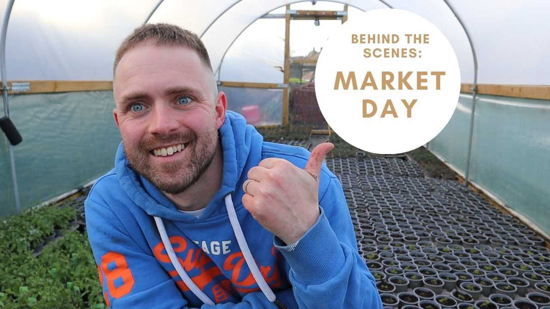 Andy behind the scenes on market day