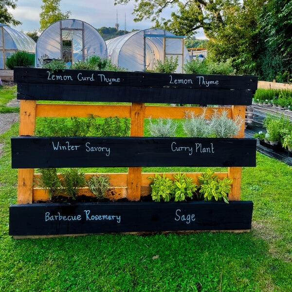 An idea for growing: a Pallet Planter Herb Garden