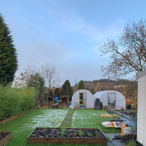 A wintery view of two polytunnels and a raised bed in a garden
