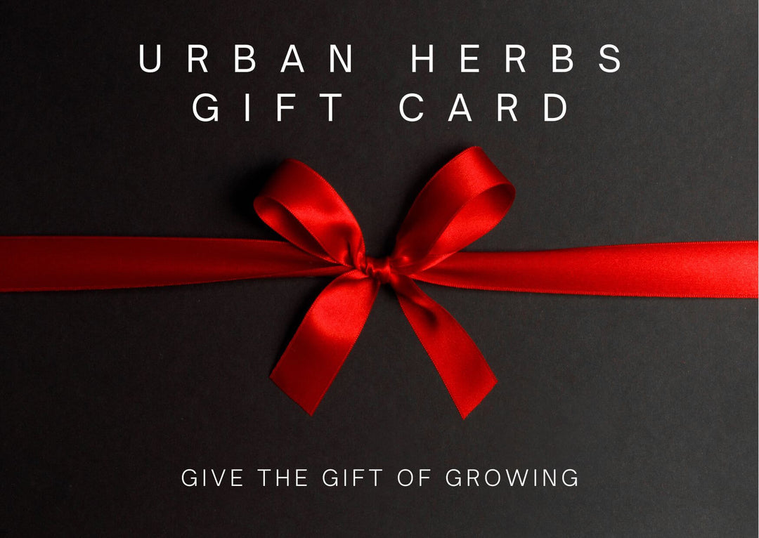 Urban Herbs Shop Gift Card
